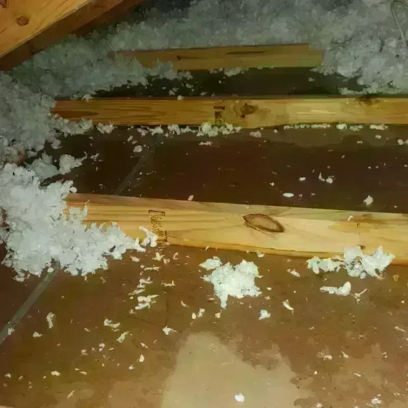 Attic Water Damage in Faribault, MN