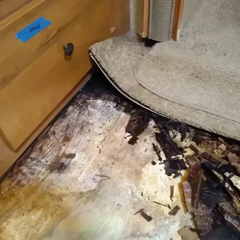 Best Wood Floor Water Damage Service in Faribault, MN